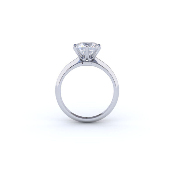 Ring0010